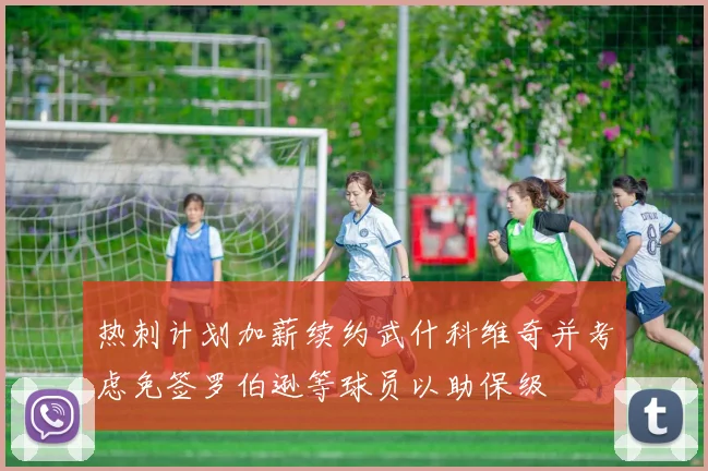 热刺计划加薪续约武什科维奇并考虑免签罗伯逊等球员以助保级